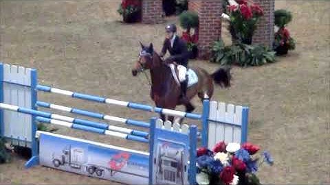 Biomechanics in Show Jumping: Part Five - Takeoff Mechanics II