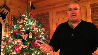 How to water your Christmas tree