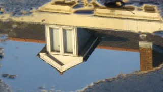 Reflections in puddles