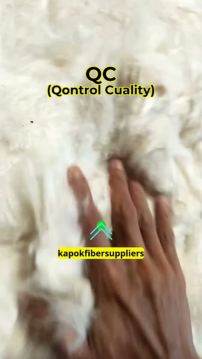 Let's Order kapok Fiber | Feels Organic Kapok Fiber  #kapokfiber #ecofriendlysolutions