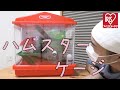 【ハムスターケージ】アイリスオーヤマの廃番ケージを買ったので紹介します♪駄菓子屋トカゲのおっさん Candy store! Gecko`s Uncle