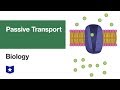 Cell Transport Mechanisms Quiz