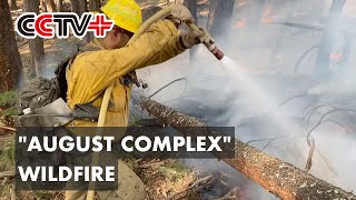 Firefighters Worried Upcoming Strong Winds To Strengthen "August Complex" Wildfire