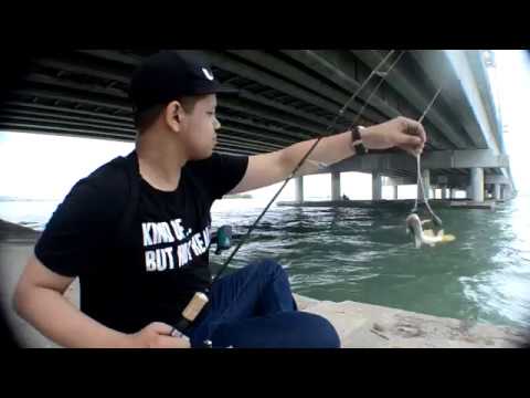 Memancing Bawah Jambatan Pulau Pinang Youtube