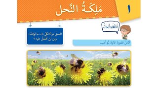 درس ملكة النحل  /  العربية لغتي  /  الصف الرابع