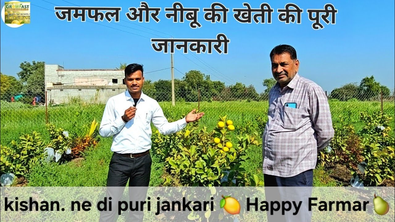 Growfast Organic Special Kam jagah mein Nimbu aur Jamfal se lakho ki kamai.janiye Kisan Puri jankari