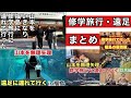 修学旅行・遠足まとめ