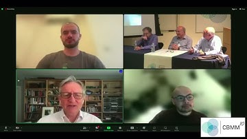 Noam Chomsky is called "Crazy" by Geoffrey Hinton