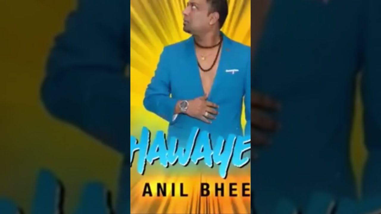 Anil Bheem   Hawayein Bollywood Remix