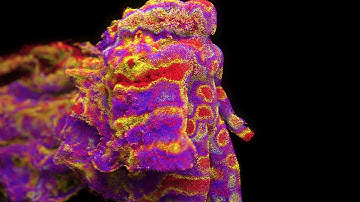 Maya Bifrost Aero - Arnold Render Density color Test vfx.