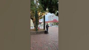 Thumbnail of 오키나와에서 지리는 형님의 버스킹