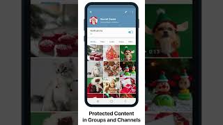 Protect Content in Telegram | Telegram | screenshot 5