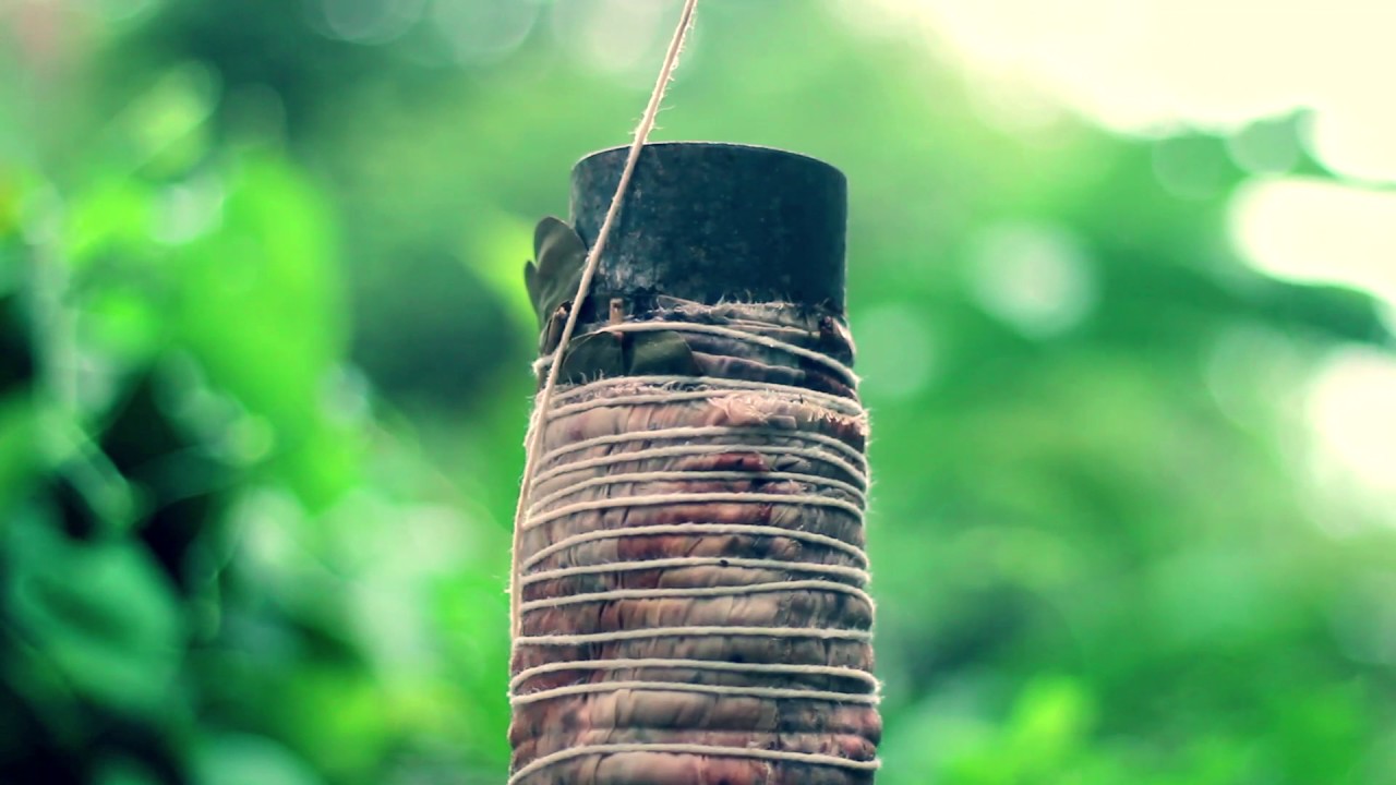 Impressão Botânica - Flavia Aranha