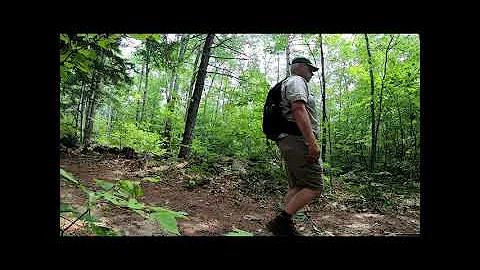 Maine Hikes: Knox Mountain Newfield