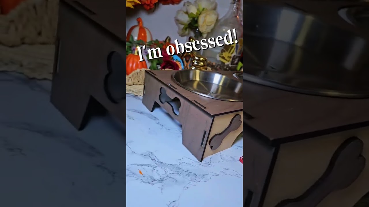 How I Built the Coolest Dog Bowl Ever!