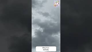 What Can You See Above? #clouds #rain