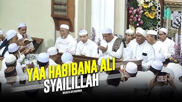 Ya Habibana Ali Syailillah - Majelis Ar Raudhah | Lirik & Terjemah