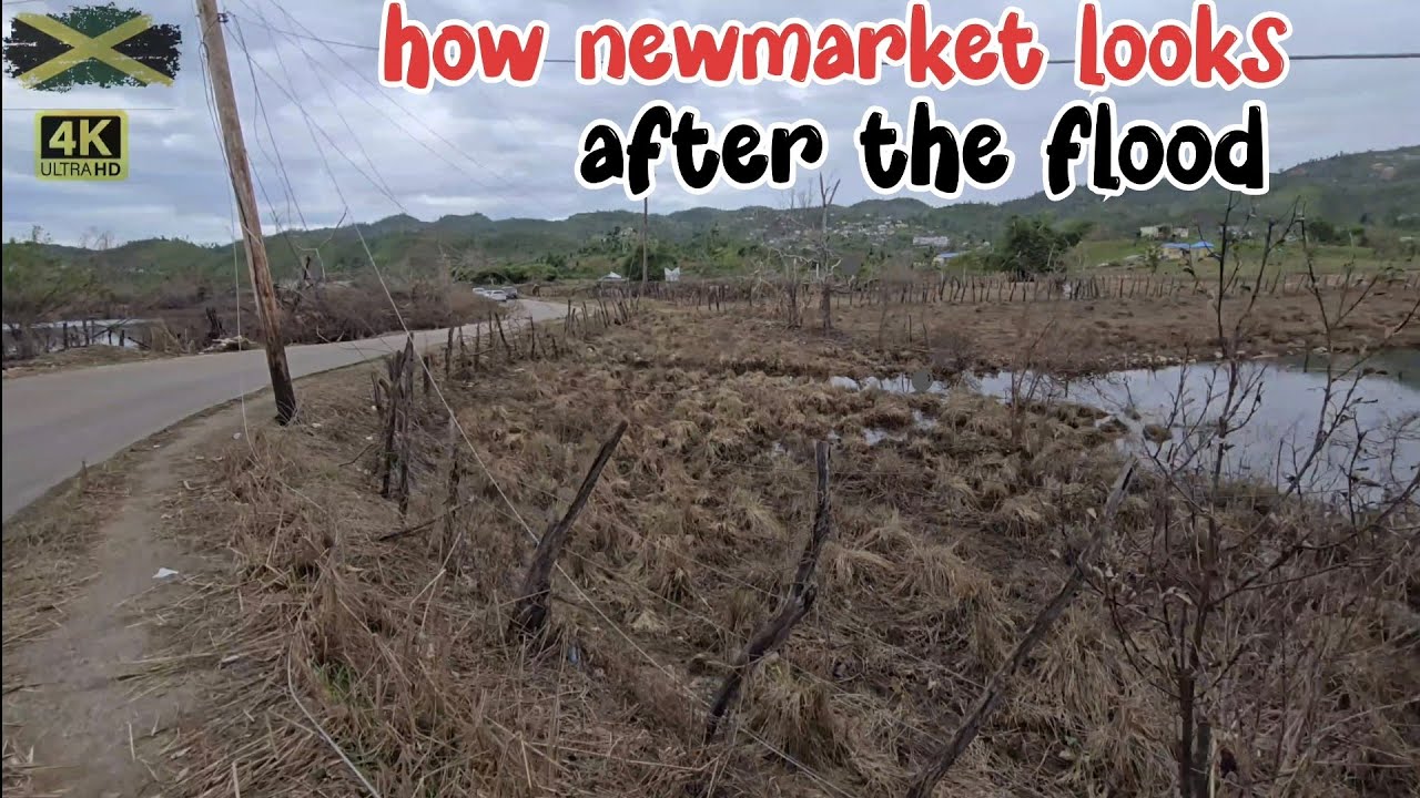 Newmarket flood waters recedes , roads are drivable again 