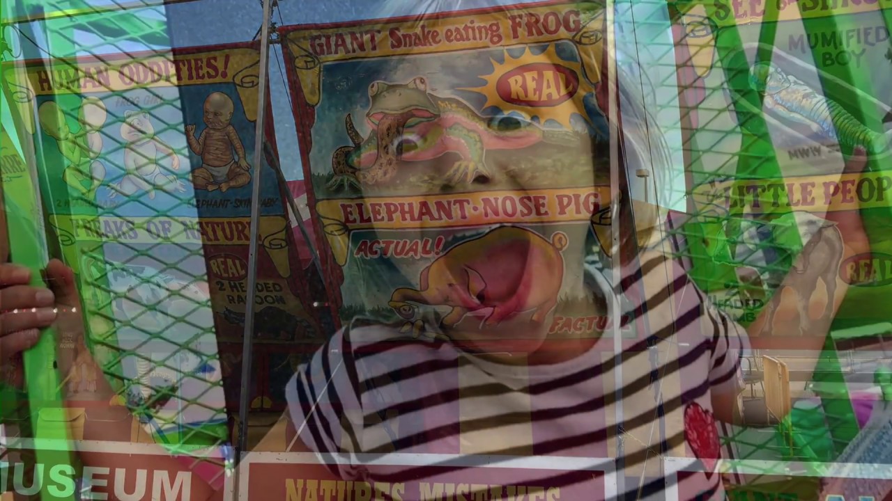 Meadowlands State Fair with fireworks, Meadowlands NJ YouTube