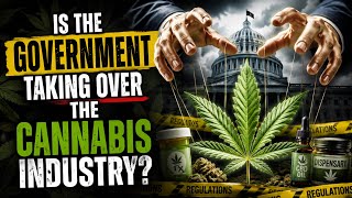 IS THE GOVERNMENT TAKING OVER THE PIFF INDUSTRY? 🔞
