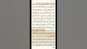 بسم نبدأ وِردَ الأحد، سورة النحل، صفحة رقم "273"اللهم صل وسلم وبارك على سيدنا محمد 🌼
