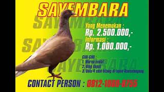 #burungmerpati Sayembara Burung Hilang Gelaran Bansel Lapak Rancalonggong Solokan Jeruk Kab Bandung