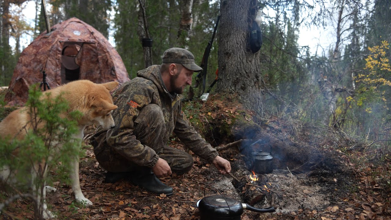 ЖИВУ НА ДИКОЙ ТАЁЖНОЙ РЕЧКЕ С СОБАКОЙ. ОСЕННЯЯ РЫБАЛКА НА СПИННИНГ.
