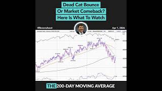 Dead Cat Bounce or Market Comeback? Here Is What To Watch