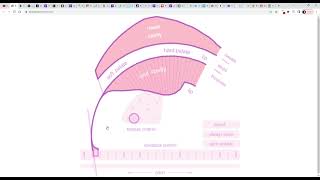Pink Trombone Any%