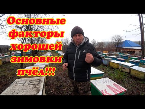 ОСНОВНЫЕ ФАКТОРЫ И