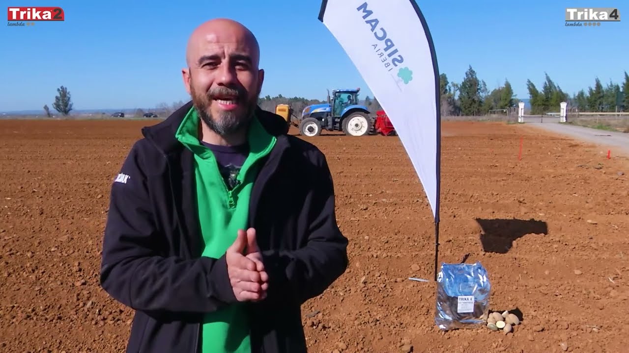 🥔 INSECTICIDAS EN PATATA: los microgranulados Trika Lambda