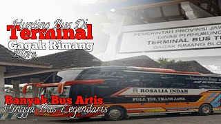 Hunting Bus di Terminal Gagak Rimang Blora | Bis Malam & Lokal Jawa Tengah