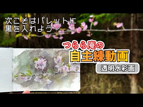 Self-study: Transparent watercolor painting] How to create a