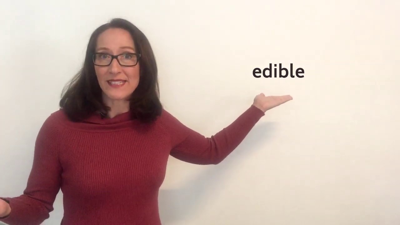 In-, il-, ir-, im- - Smart English Series #18