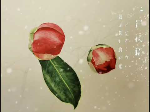 Camellia （山茶花）- watercolor painting by 子诺不离