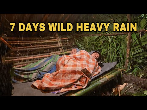 7 Days in Wild Heavy Rain‼️ SUPER Long Heavy Rain in Wild Camping‼️