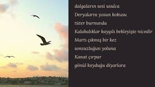 Sığamam Ömrüne Ey İstanbul