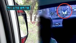[택시 하차 사고] 주의 안 준 택시 기사 VS 안 보고 내린 승객 누구의 책임일까? | 한블리 (한문철의 블랙박스 리뷰) 38회 | JTBC 230706 방송 screenshot 4