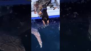 Амортизирующая Амортизирующая насадка для стойки удилищ с усиками под колокольчики #рыбалканафидер