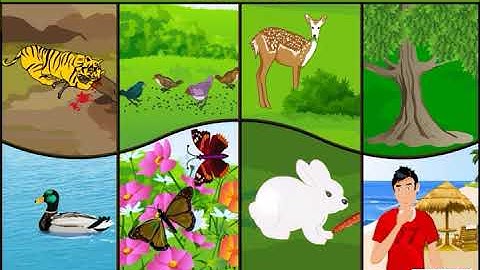 Basva’s Farm | Farming in India | EVS | Class 4