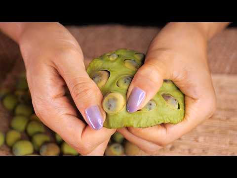 ASMR Lotus Pod Pimple Popping | Trypophobia Warning (No Talking)