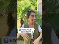 Цветник или плющ? Ландшафтный дизайн своими руками! Шикарный сад: клумба, туя, ель, цветы Дом в Сочи