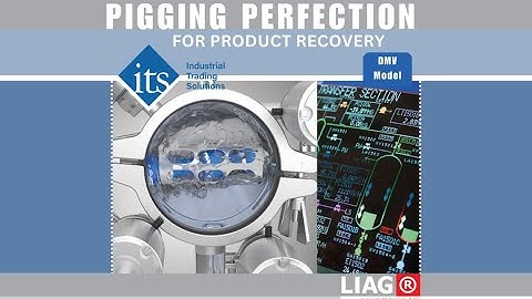🚀 Maximise Product Recovery: with LIAG® DMV Pigging System! 🚀