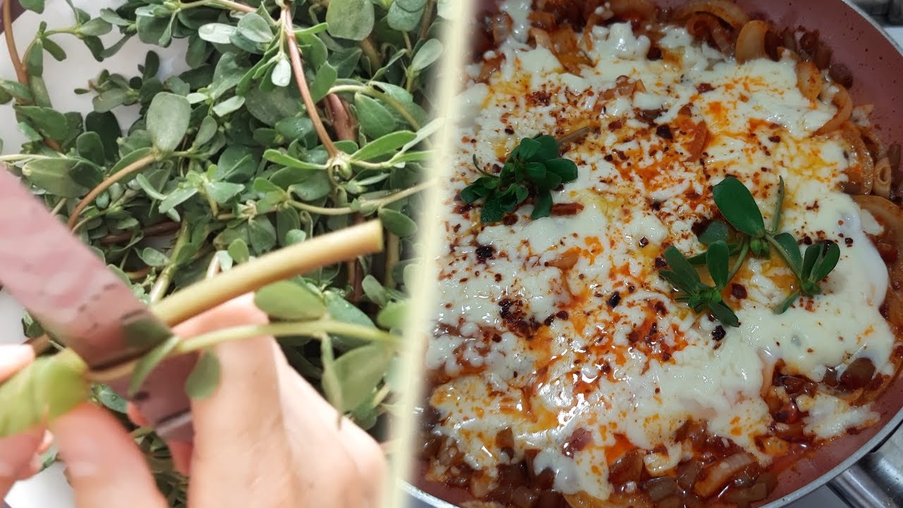 Eyvah, bu saplar harika. Bayılacaksınız. Yiyiverin gari. Semizotu Sapı İle Kolay Nefis Kahvaltılık. Eyvah, bu saplar harika. Bayılacaksınız. Yiyiverin gari. Semizotu Sapı İle Kolay Nefis Kahvaltılık.