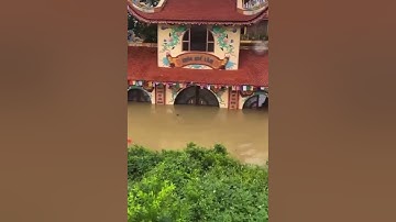 NGƯỜI ĐÀN ÔNG Ở PHÚ THỌ BỊ ĐUỐI NƯỚC VÌ CỨU CHÚ CHÓ TRONG BÃO YAGI