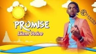 Promise by Liam Voice lyrics