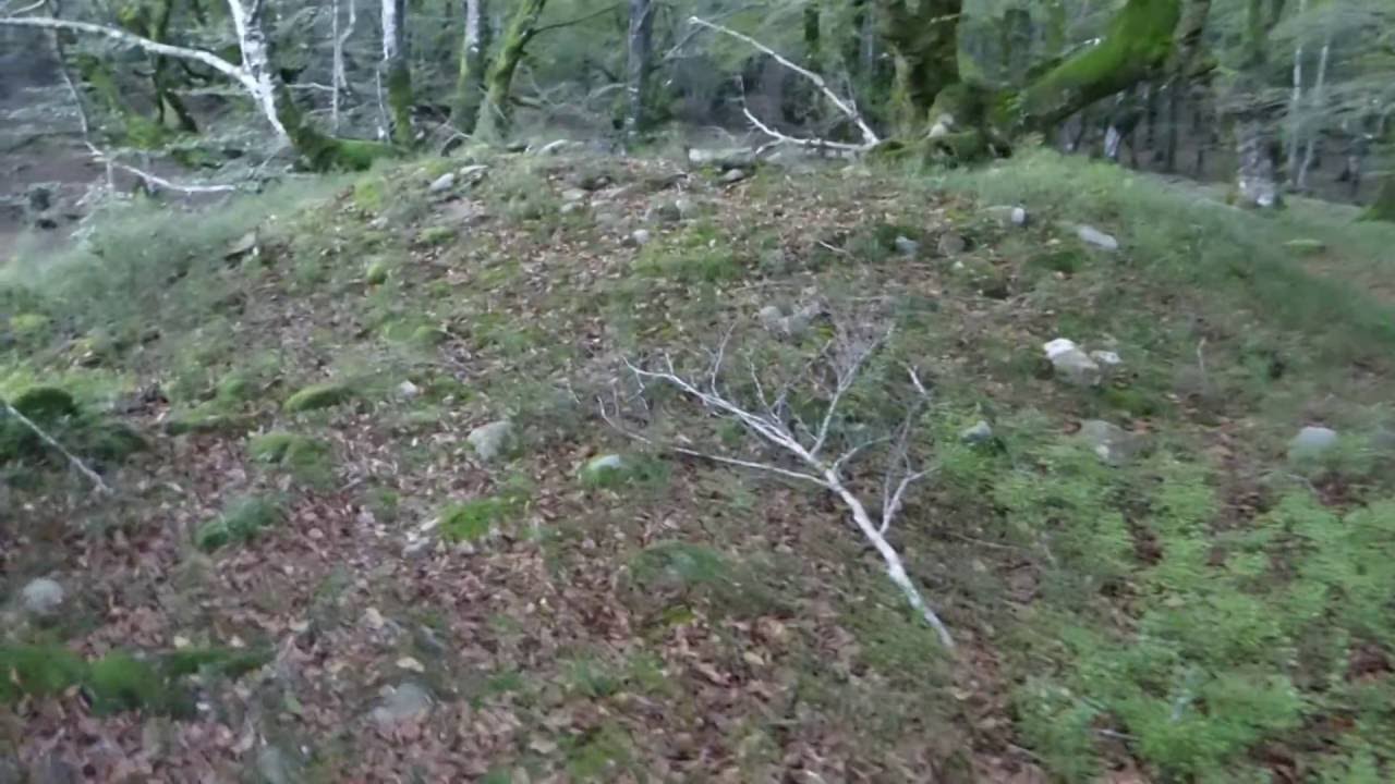 Dolmen de Artaso  Megalito en la vertiente norte de la Sierra de Elguea (Guipúzcoa)