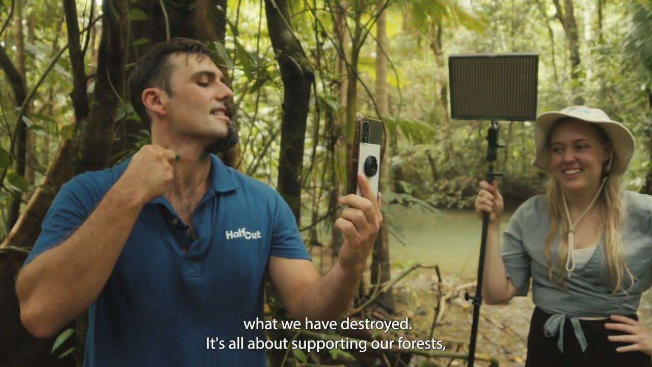 HalfCut x Hall & Wilcox