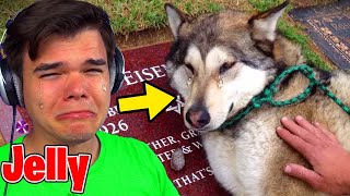 7 YouTubers SADDEST MOMENTS Caught on Video! (Jelly, Preston, DanTDM)