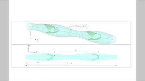 Final Group Project 6730